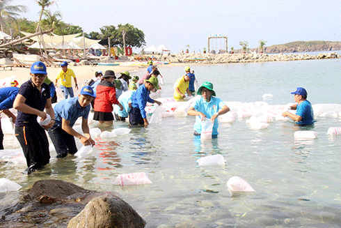 550,000 offspring released to regenerate marine resources