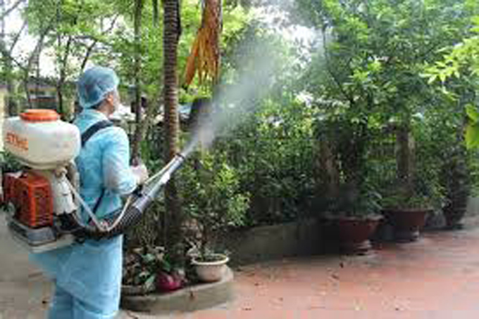 Dengue prevention and control propaganda