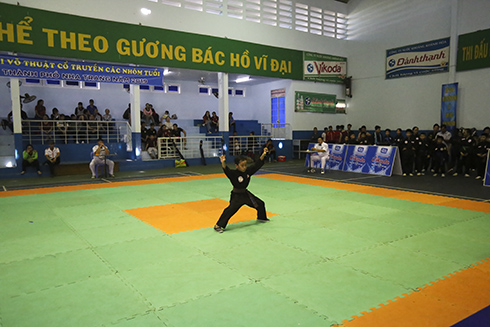 Over 120 players competed at Nha Trang's traditional martial art contest