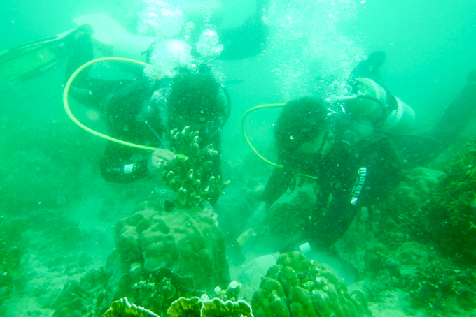 Assuring environment for sustainable tourism development