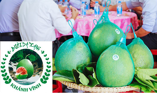 Propects for trademark "Khanh Vinh green-skin grapefruit"