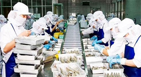 Khanh Hoa attracts 268 industrial projects