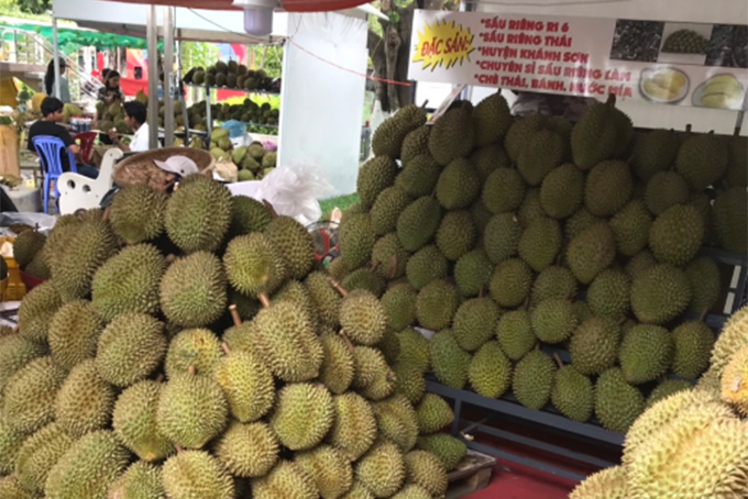 Durians at Farm Product Fair 2019