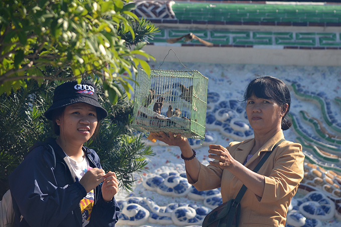 Releasing captive birds