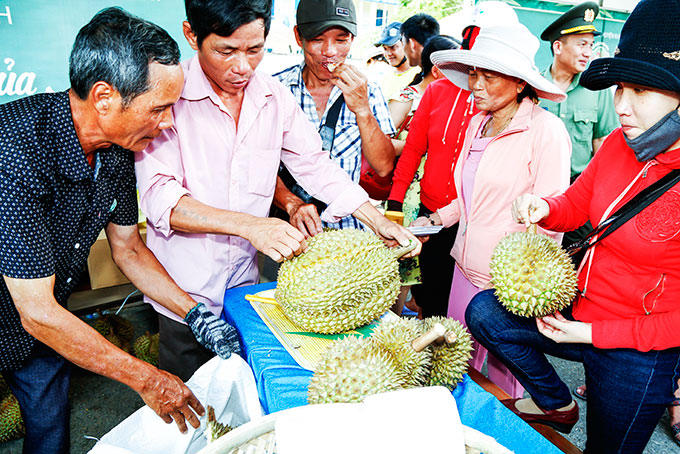 Durians at Khanh Son Fruit Festival sell well