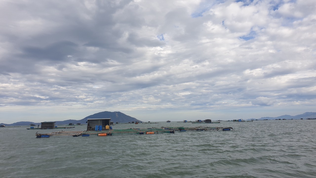 Aquaculture cages moved to safe places