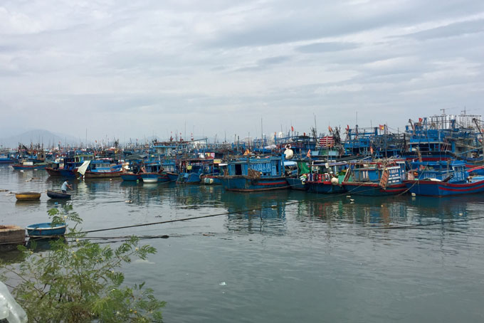 Proactively responding to Nakri Storm