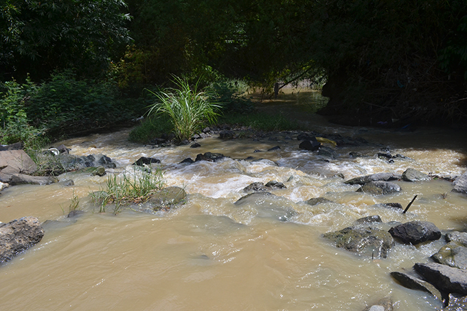 Dien Khanh: 154 homes evacuated to safe places