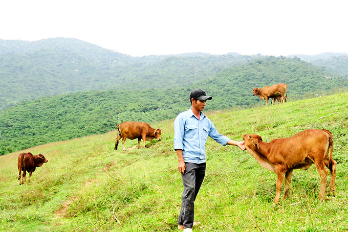 Van Ninh District fostering policy credit