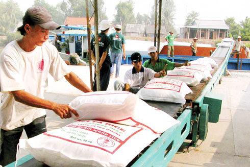 Lunar New Year: Rice offered to 58,114 people