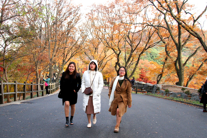 Tour suspension to Covid-19 hit countries