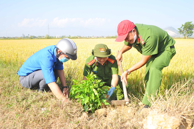 Planting trees and offering face masks