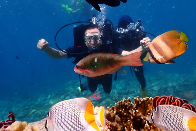 Hon Mun Marine Reserve reopens to visitors