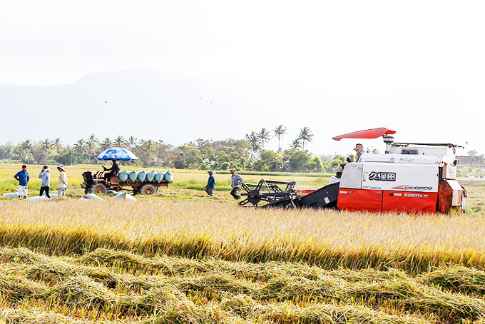 Farming gradually mechanized