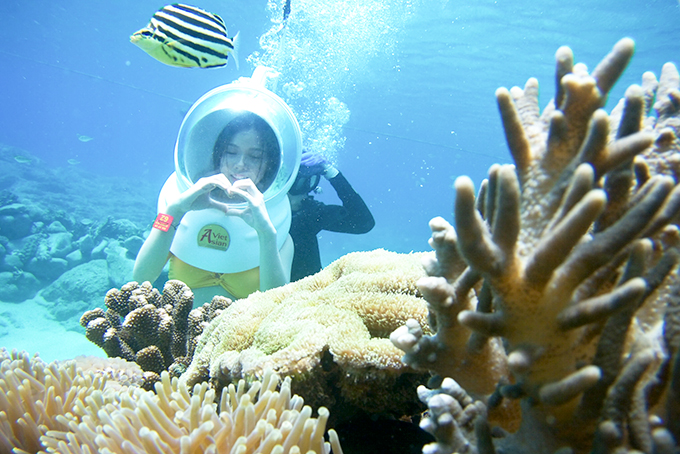 Diving in Nha Trang