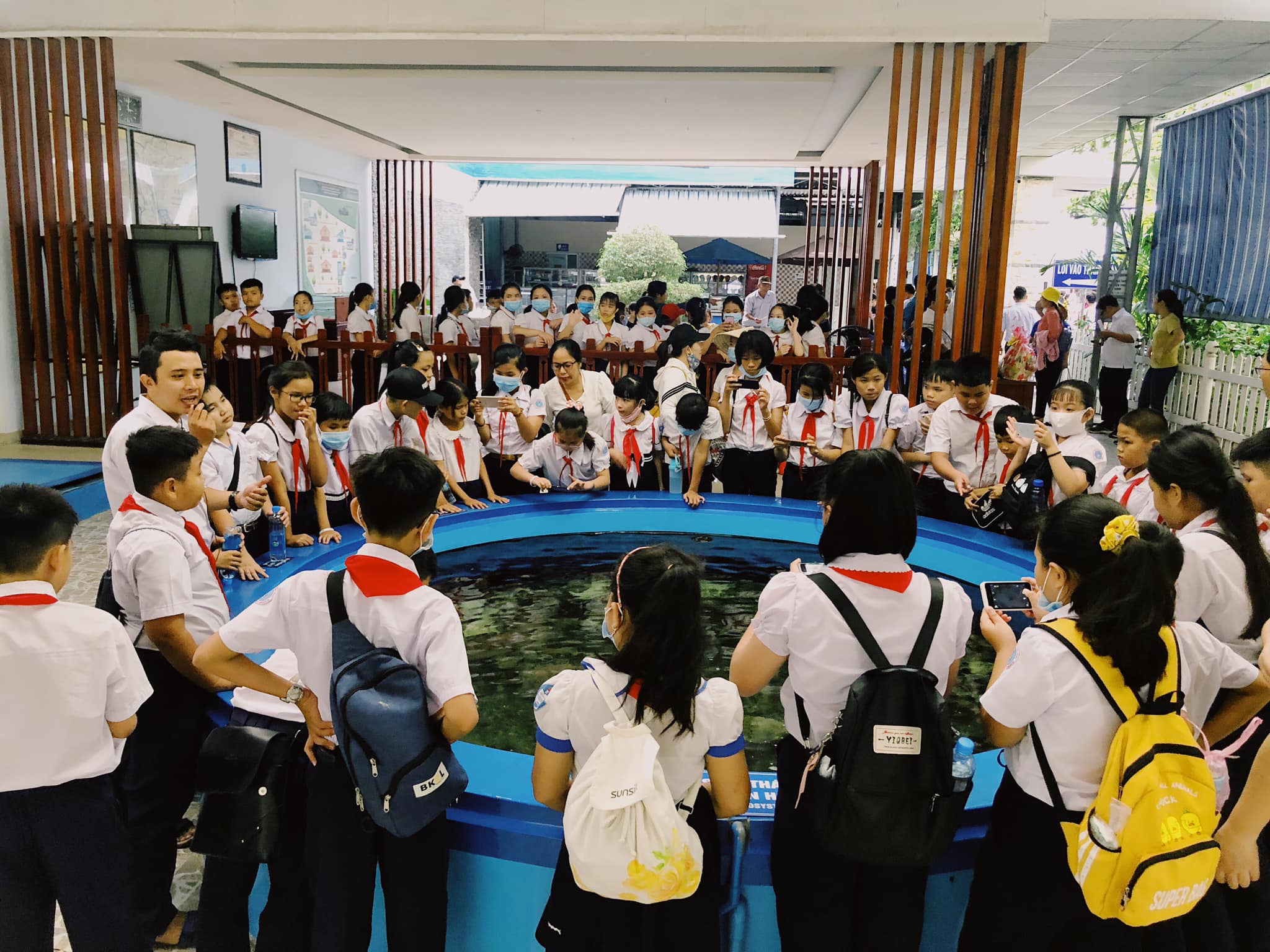 Marine environmental knowledge provided for 60 children