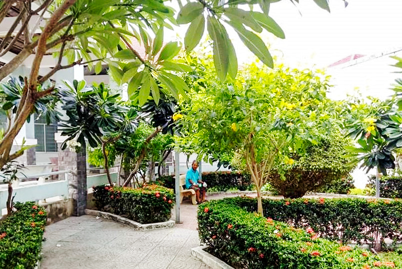 Green space in hospitals