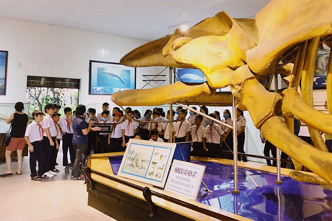 Marine environmental education boosted