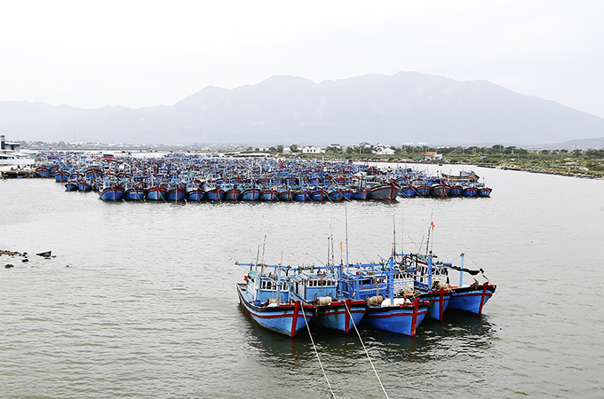 Towards managing fishing ports synchronously