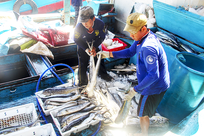 Khanh Hoa fishermen catch over 82,100 tons of seafood