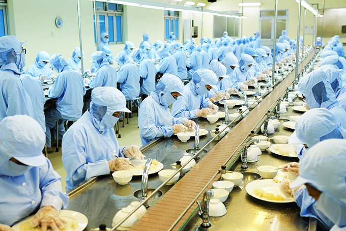 Production at Khanh Hoa Salangane Nest Company