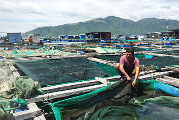 Khanh Hoa targets 18,400 tons of farmed seafood production