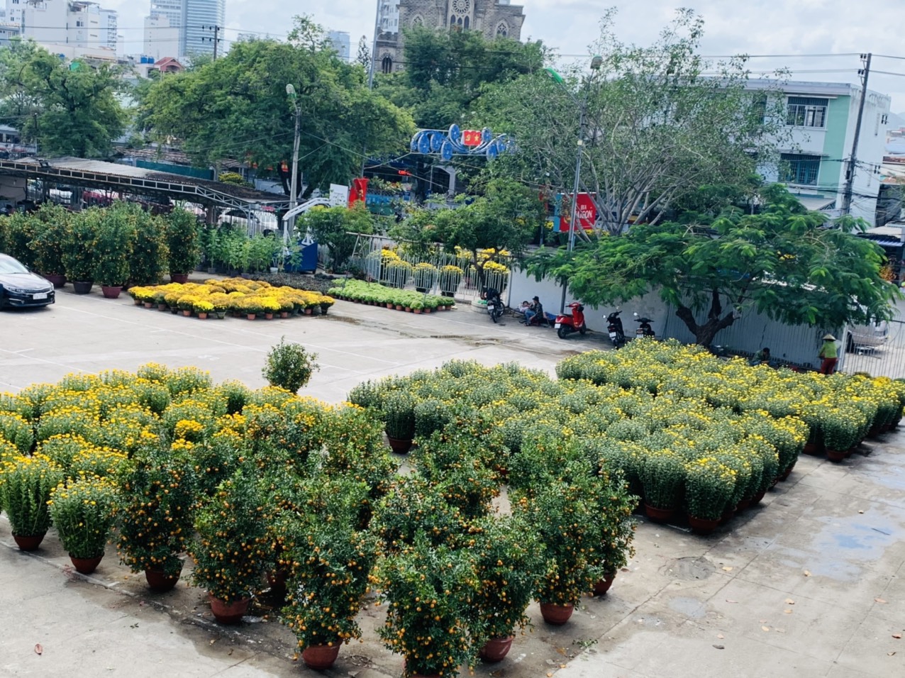 Flowers sold at Khanh Hoa Children’s House