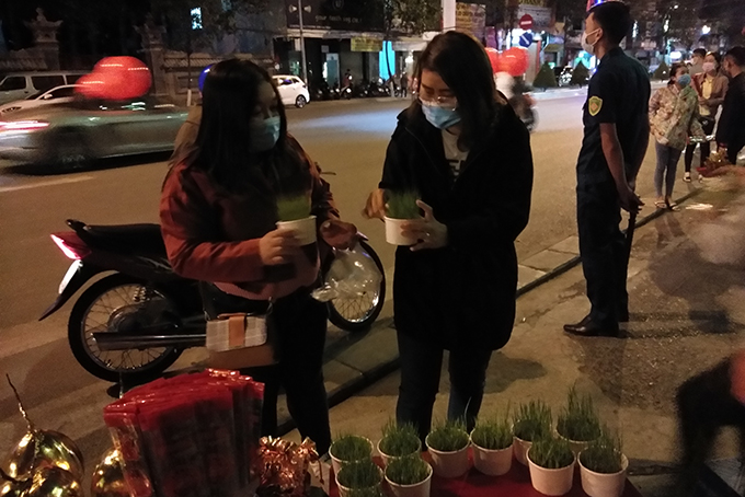 Rice seedlings are sold as “lucky things” on Lunar New Year’s Eve