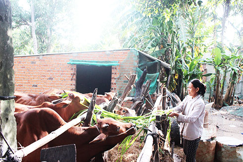 Multidimensional poverty approach