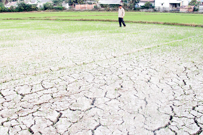 Drought risk mapping