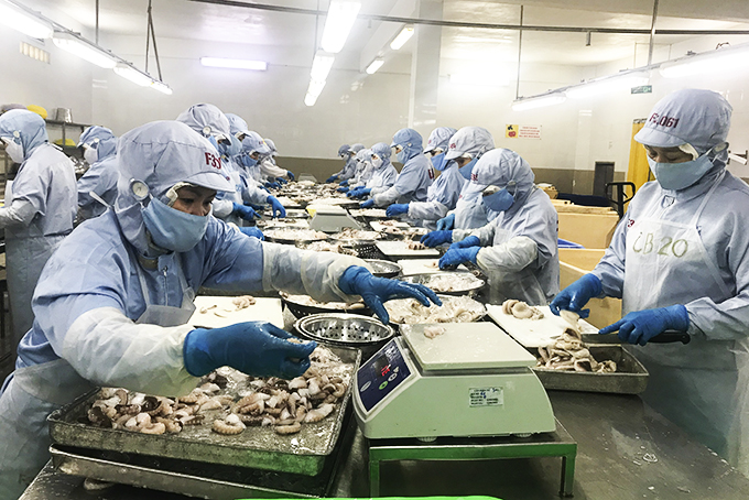 Processing seafood at Thong Thuan Cam Ranh