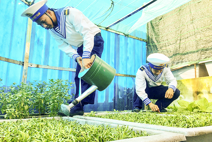 Planting vegetable on far-off islands