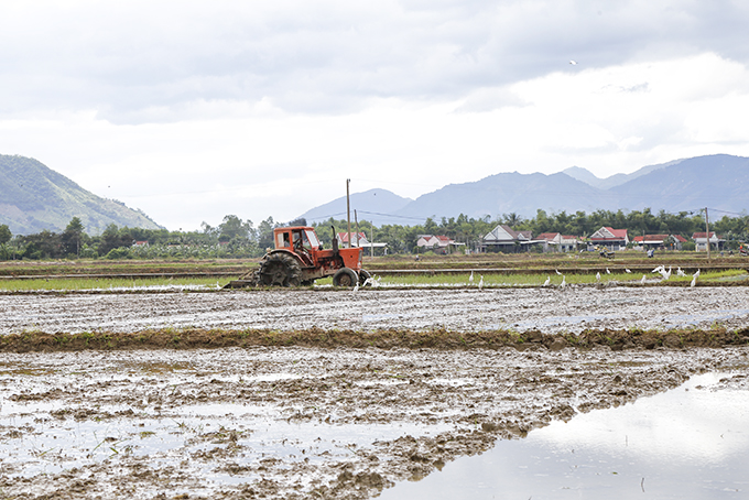 Saving water for summer-autumn crop production