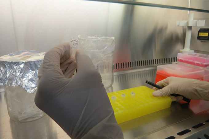 9 new cases positive for SARS-CoV-2 recorded in Khanh Hoa