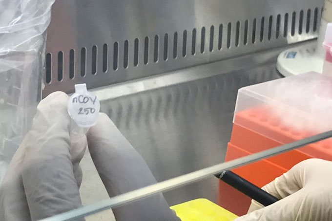 66 new cases of SARS-CoV-2 detected in Khanh Hoa