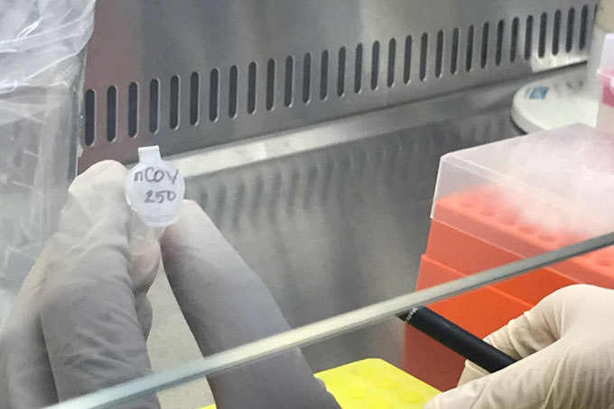 17 new cases of SARS-CoV-2 recorded in Khanh Hoa Jul.12 morning