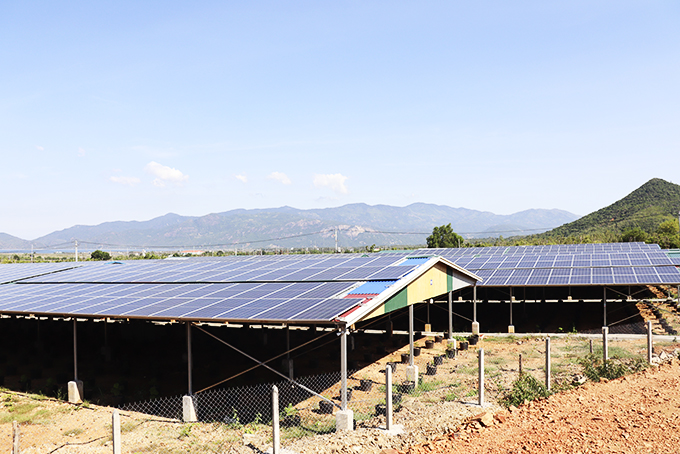 Farms with rooftop solar power contributing to local electricity supply