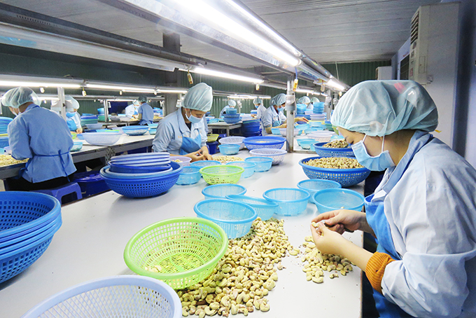 Van Ninh: Enterprises strive for safe production
