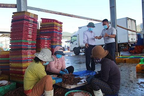 Vinh Luong fishing port