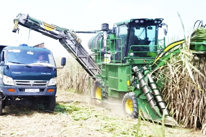 Ninh Hoa Sugarcane: Mechanization for confident integration