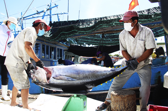 Trading activity at Da Bac fishing port