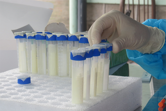 Samples for COVID-19 testing in Nha Trang