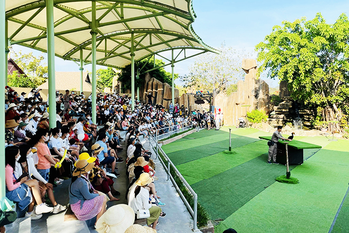 Tourists watching bird circus at VinWonder Nha Trang