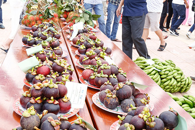 Khanh Son Fruit Festival to have special activities
