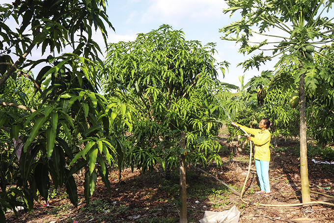 To launch Day of Savings for the Poor