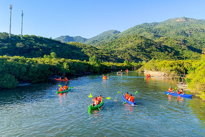 Kayaking to see mangroves