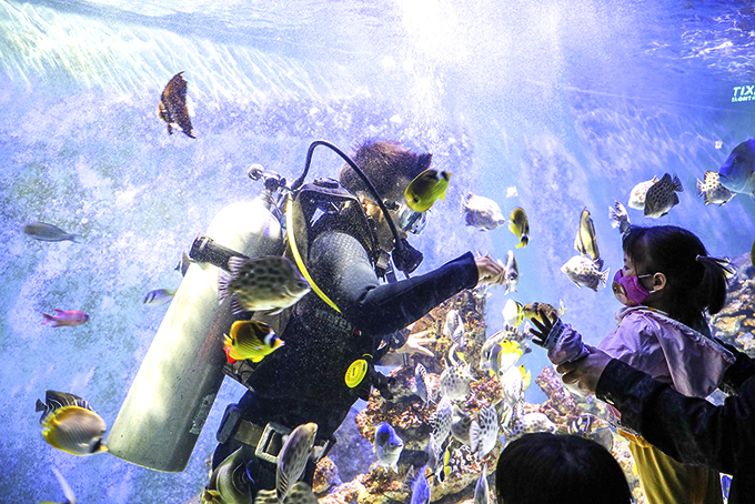 Museum of Oceanography boosting environmental propaganda