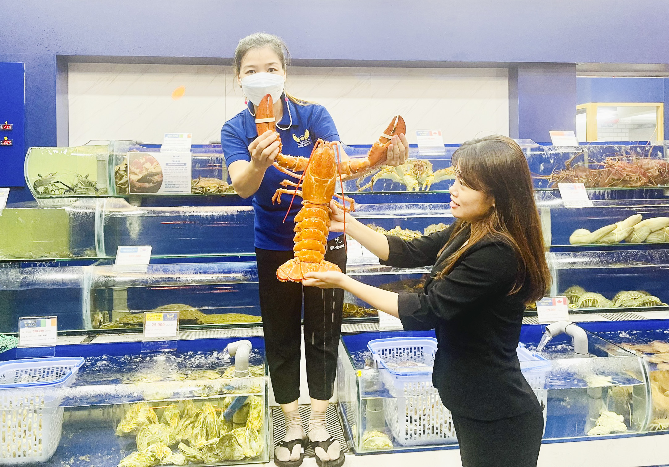 Rare orange lobster offered to Institute of Oceanography