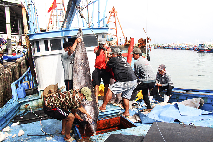 Output of exploited and farmed seafood reaches over 87,580 tons