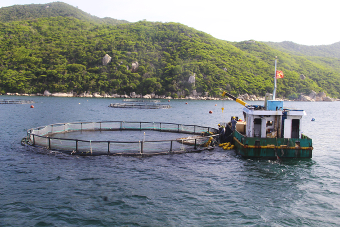 Using industrial feed partly develops marine aquaculture sustainably